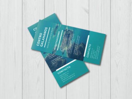 Flyers 14x21 cm - Impresos por una cara