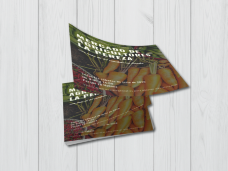Flyers 14x21 cm - Impresos por una cara
